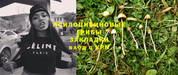ПСИЛОЦИБИНОВЫЕ ГРИБЫ Медвежьегорск