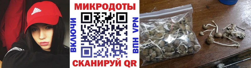 сколько стоит  Рыльск  Псилоцибиновые грибы Psilocybine cubensis 